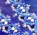 beaded necklaces
